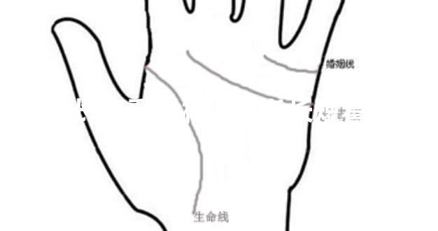 指头长短看手相,手指长短看命运